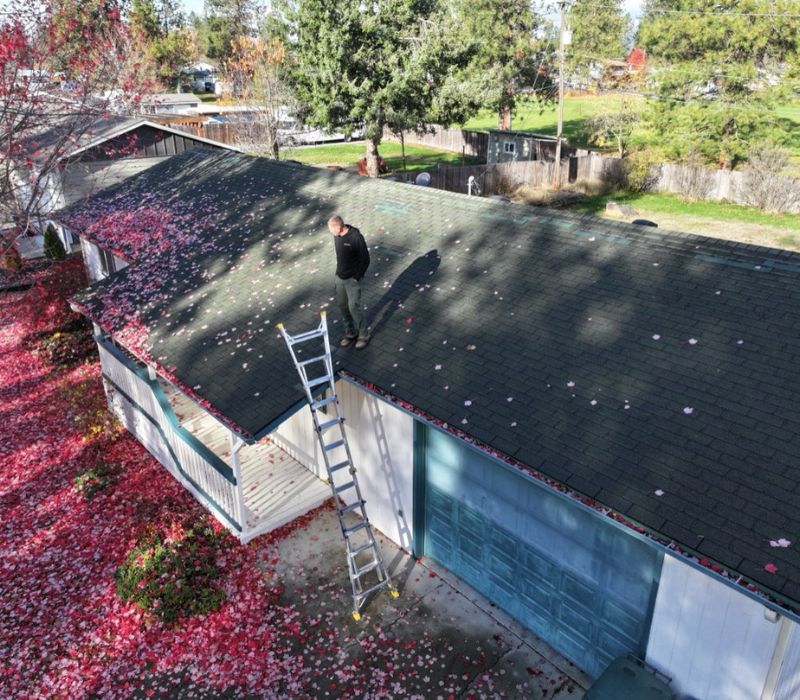 Roof inspection